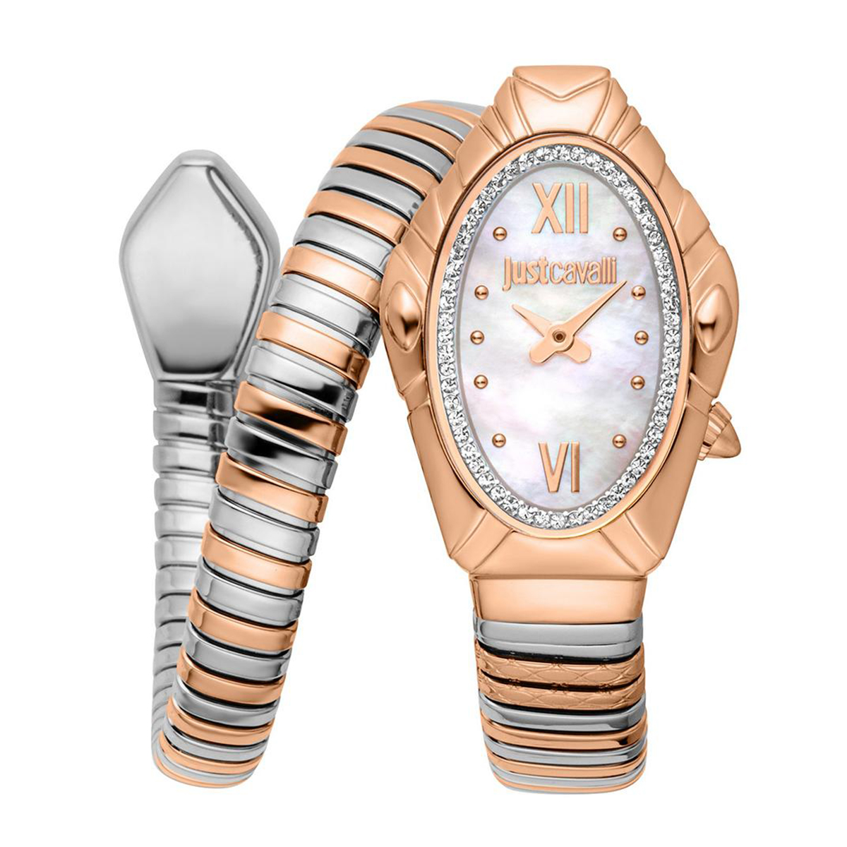 MONTRE JUST CAVALI FEMME SIMPLE ACIER